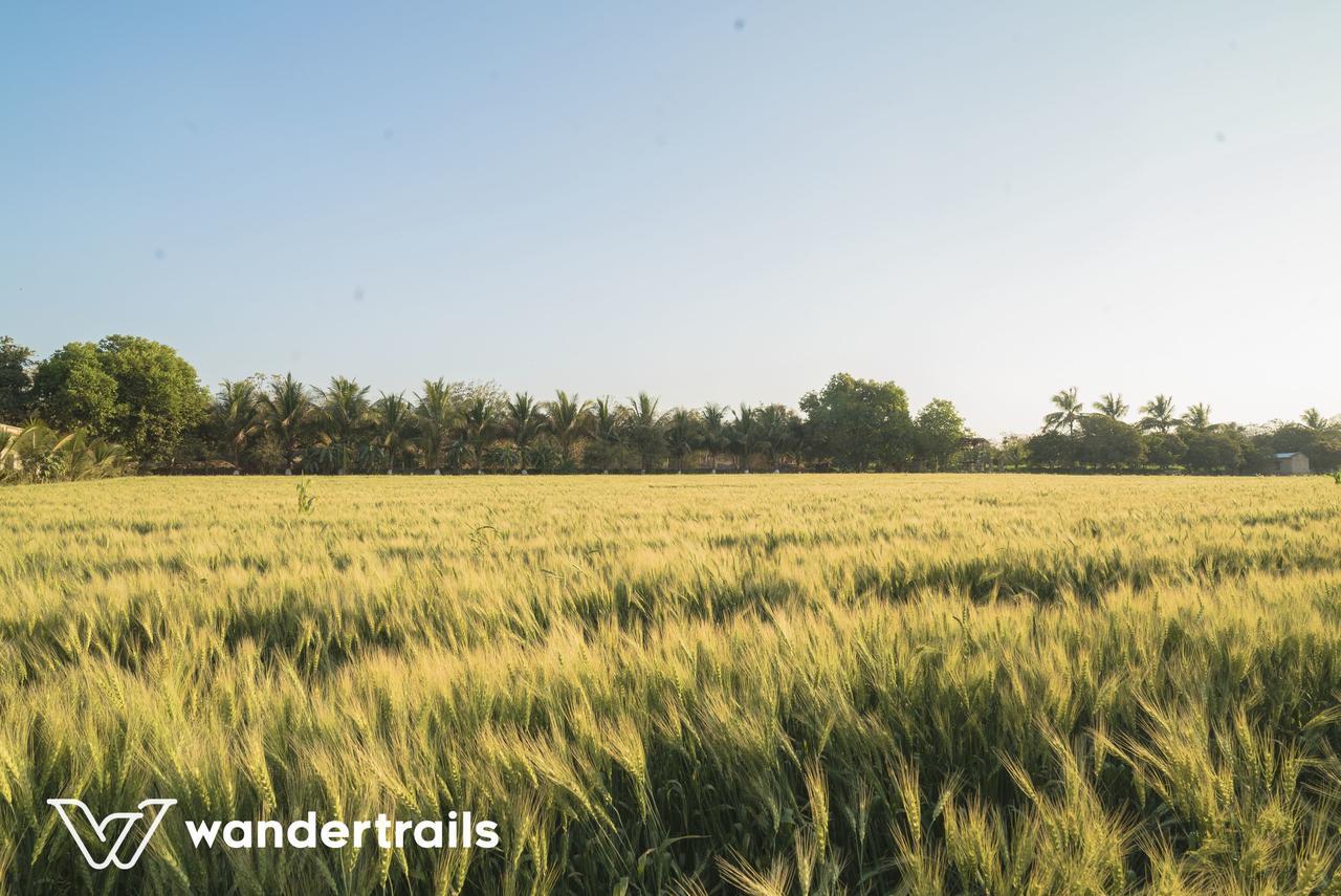 סאסאן גיר Lookout Villa - A Wandertrails Stay מראה חיצוני תמונה