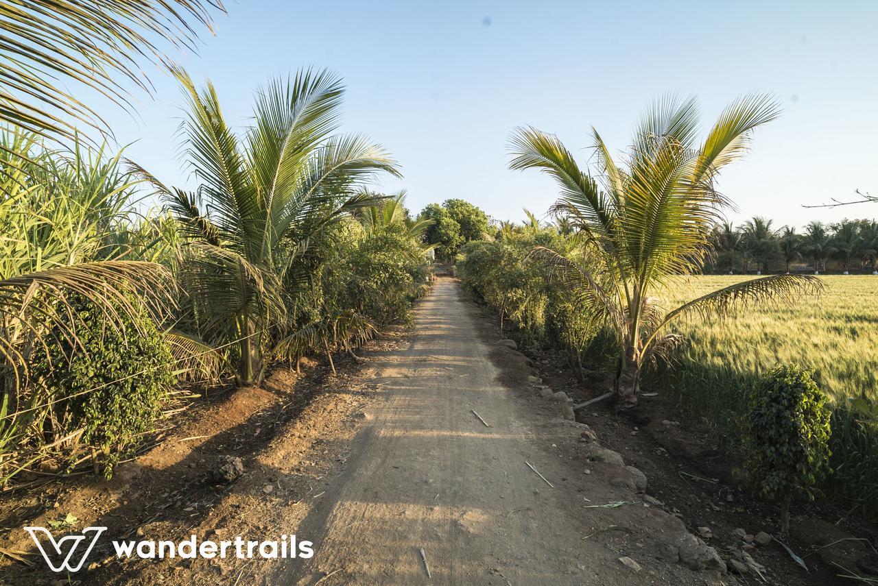 סאסאן גיר Lookout Villa - A Wandertrails Stay מראה חיצוני תמונה
